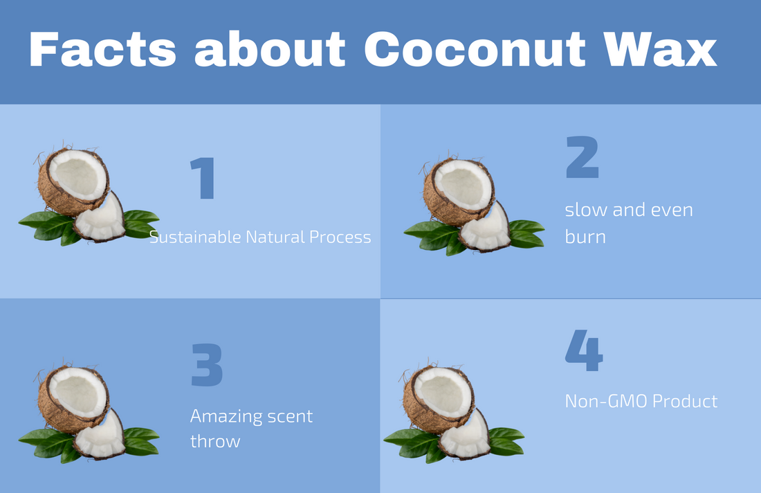 Coconut wax Facts
